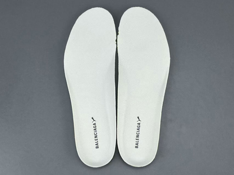 Ba1en*iaga & puma speedcat