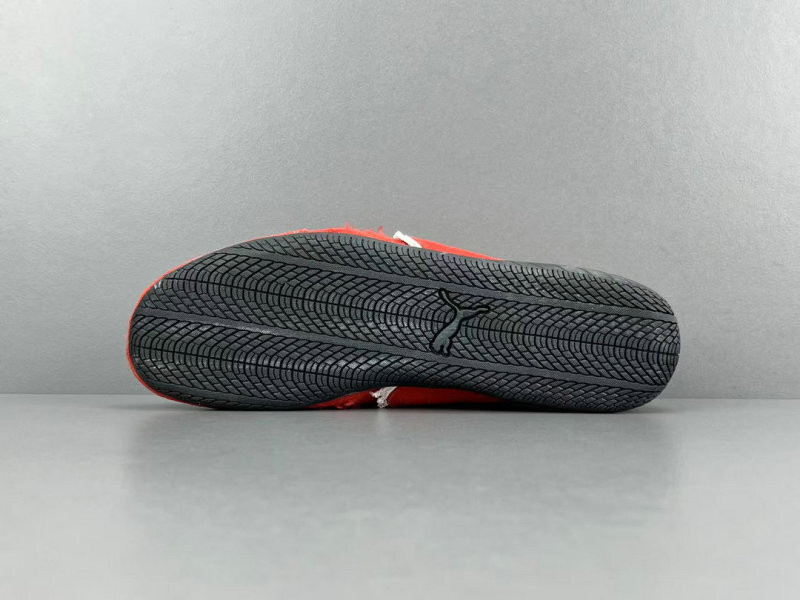 Ba1en*iaga & puma speedcat