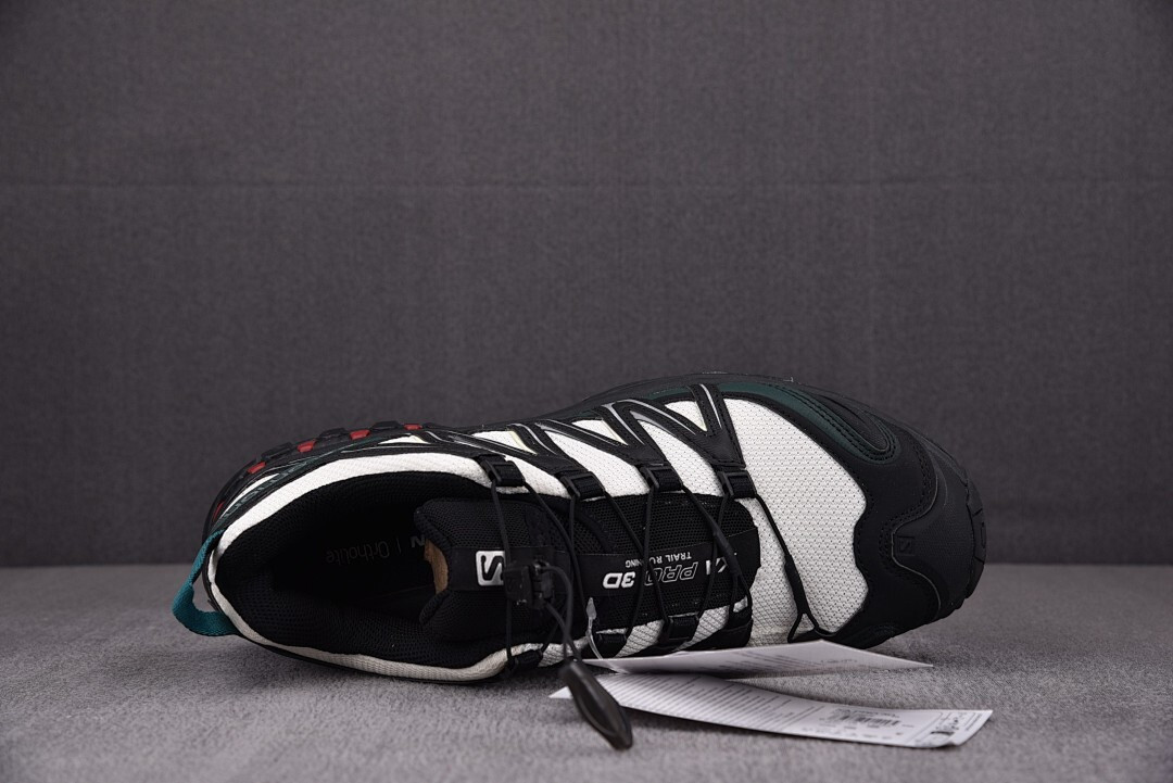 Salomon XA Pro 3D 