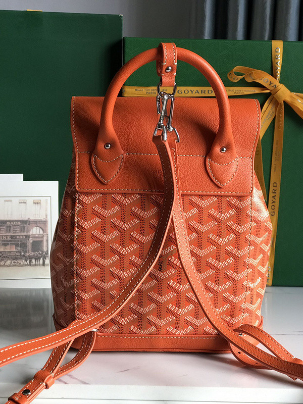 G09ard alpin shop mini backpack