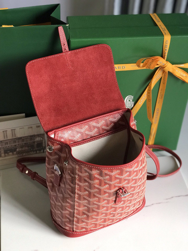 G09ard alpin shop mini backpack