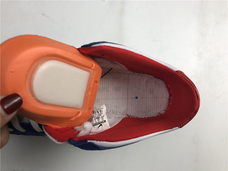 Nike SB Dunk Low Pro QS “Ishod Wair" 839685-416