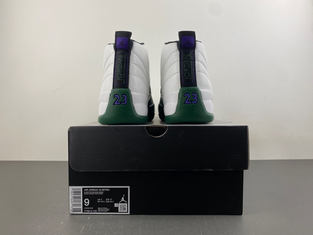 Air Jordan 12 Bucks “Idols Become Rivals” CT8013-103