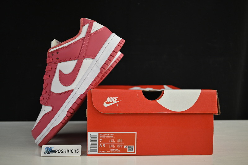 Nike Dunk Low Archeo Pink (W) DD1503-111
