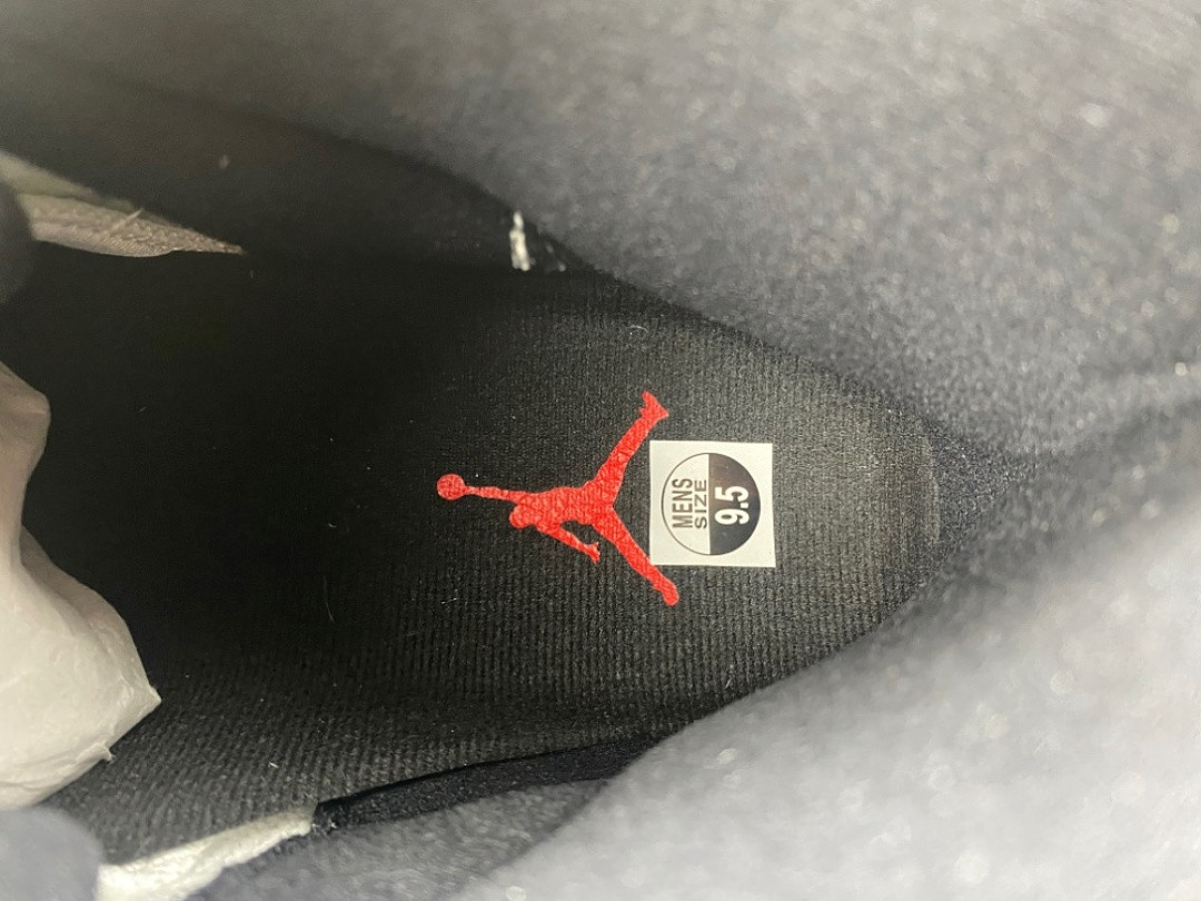 Air Jordan 11 “Infrared”