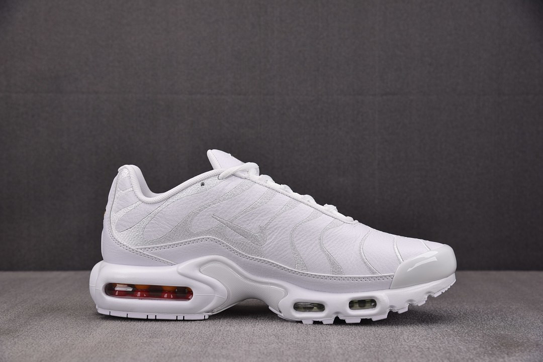 Nike Air Max Plus TN 