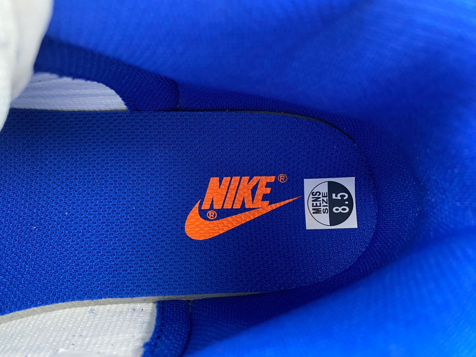 Nike Dunk High Game Royal DD1399-102