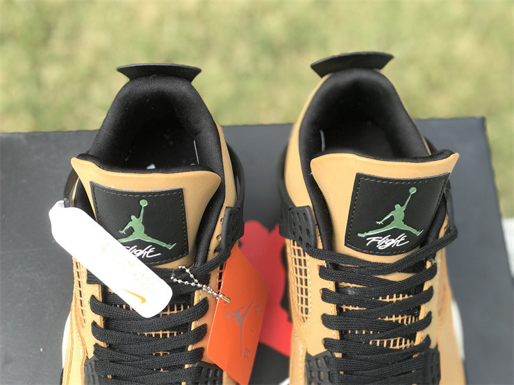 Jordan 4 Retro Fossil (W) - AQ9129-200