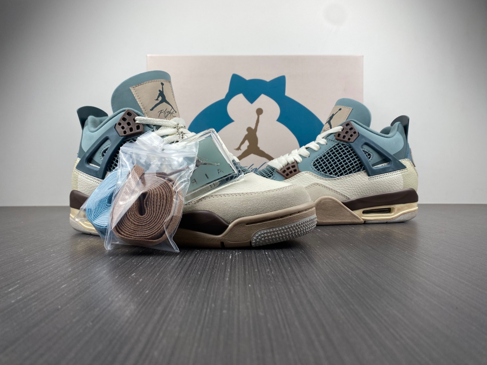 Andrew Chiou Air Jordan 4 Snorlax AJ4-KNCW