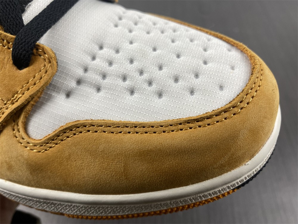 AIR JORDAN 1 HIGH ELEMENT GORE-TEX 