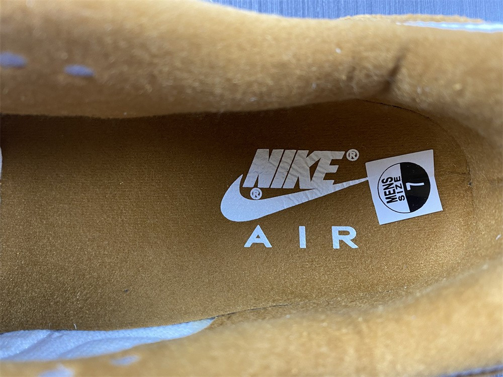 Nike Air Max 1 Curry (2018) 908366-700