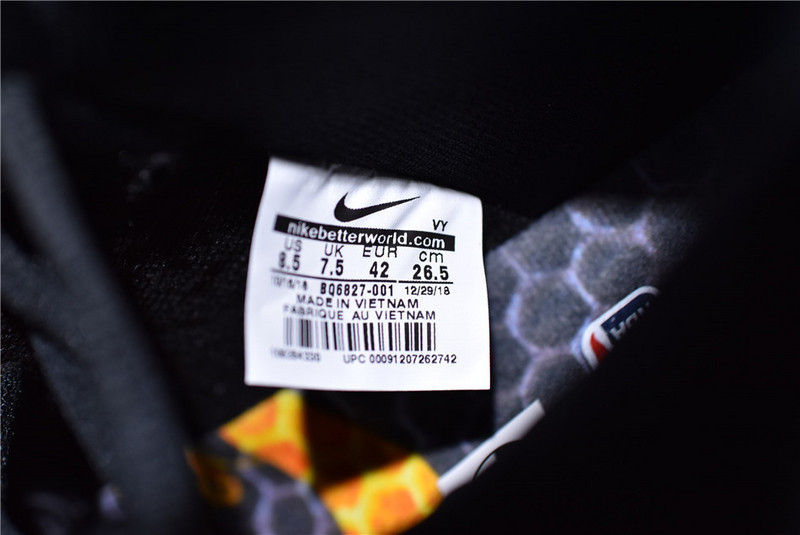 Nike Zoom Dunk SB BQ6827-001