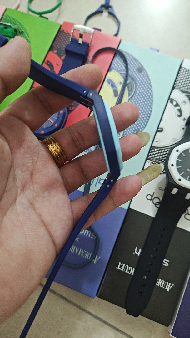 Swatch x Audemars P1g*et Royal Pop