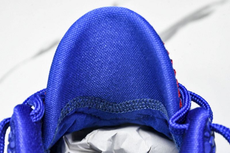 Nike Kobe 6 Protro "Dodgers" CW2190-400