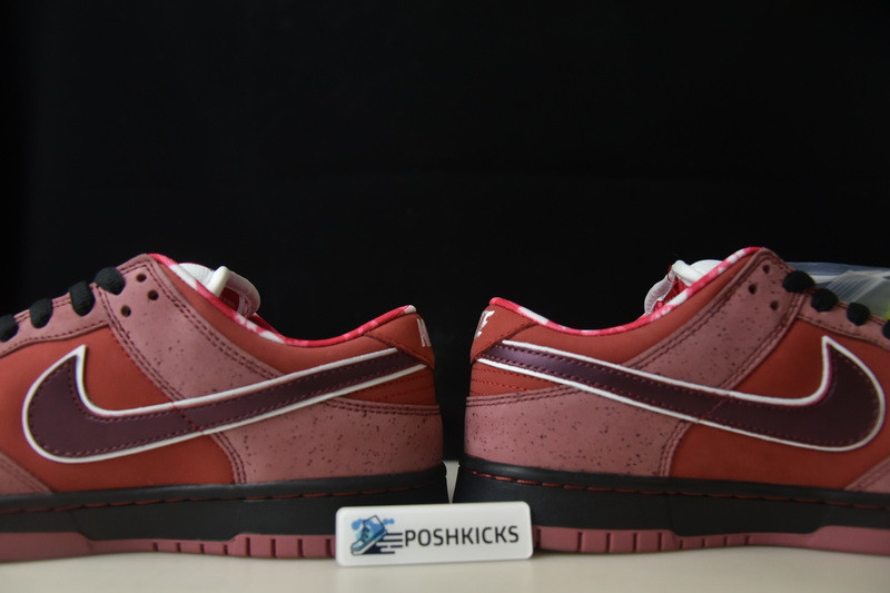 Nike Dunk SB Low Red Lobster 313170-661