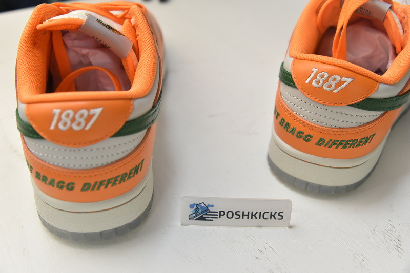 Florida A&M x Nike Dunk Low DR6188-800