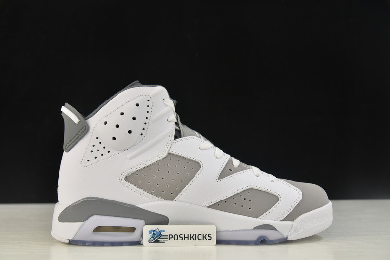 Air Jordan 6 “Cool Grey” CT8529-100