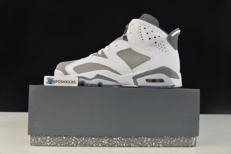 Air Jordan 6 “Cool Grey” CT8529-100