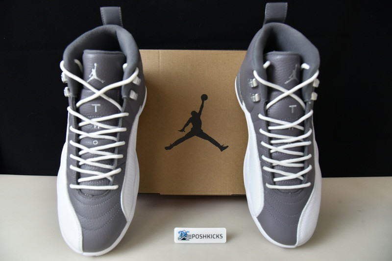 Air Jordan 12 Retro Stealth CT8013-015