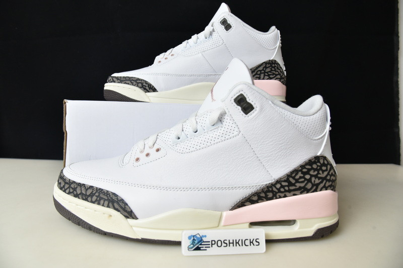 Jordan 3 Retro Neapolitan Dark Mocha (W) CK9246-102
