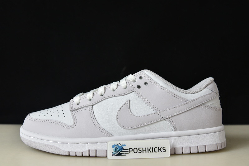 Nike Dunk Low Venice (W) DD1503-116