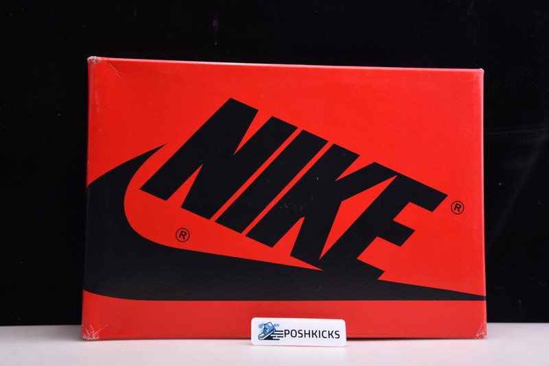 AIR JORDAN 1 RETRO HIGH SLIVER TOE CD0461-001