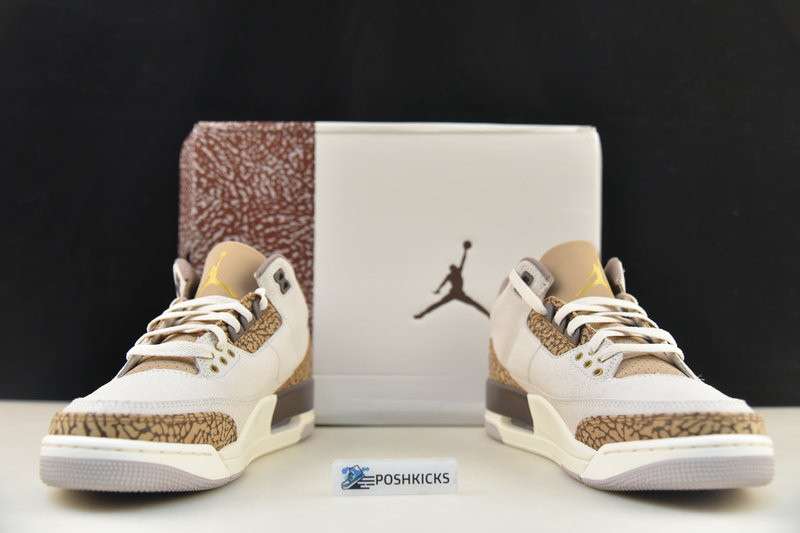 Air Jordan 3 Palomino CT8532-102