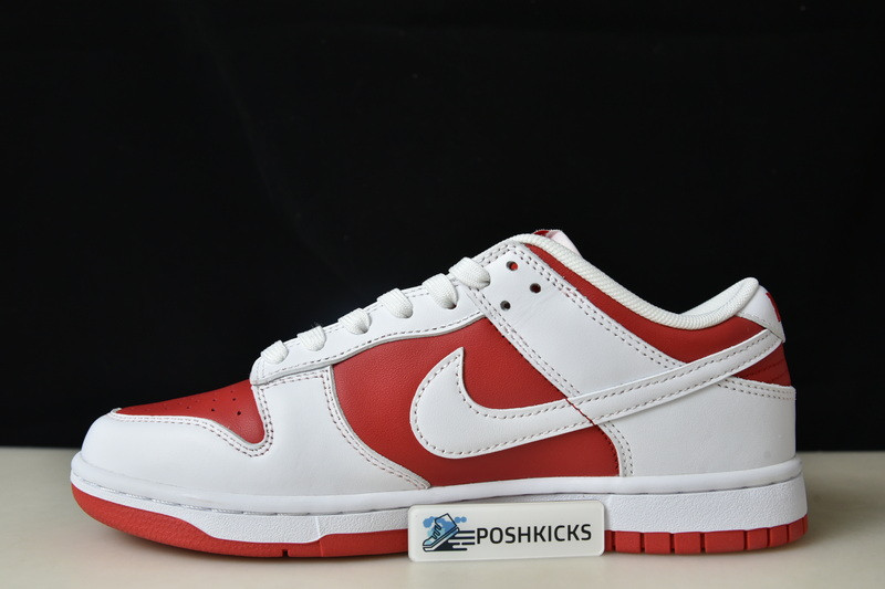 Nk Dunk Low “University Red” DD1391-600