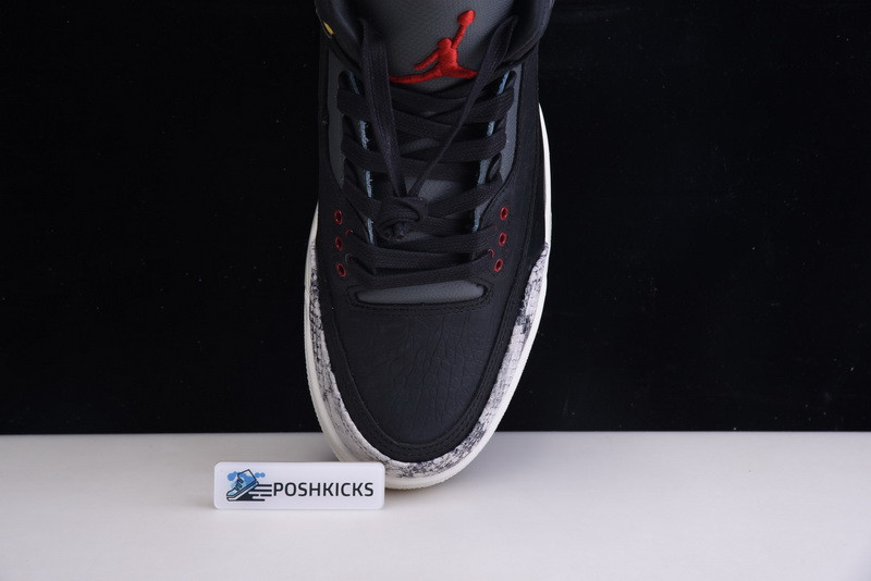 Air Jordan 3 Retro SE Animal Instinct 2.0 CV3583-003