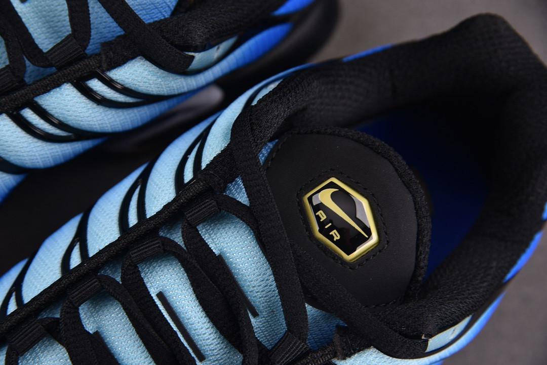 Nike Air Max Plus OG Hyper Blue | DX0755-001