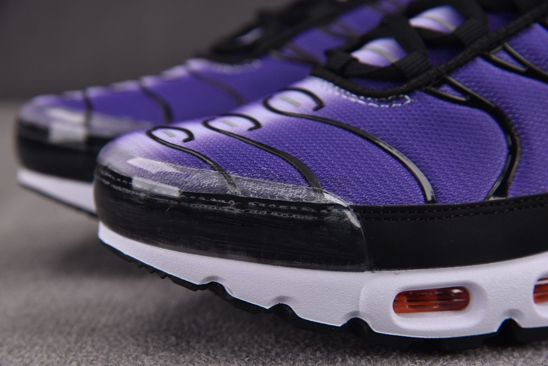 Nike Air Max Plus OG "Voltage Purple" DX0755-500