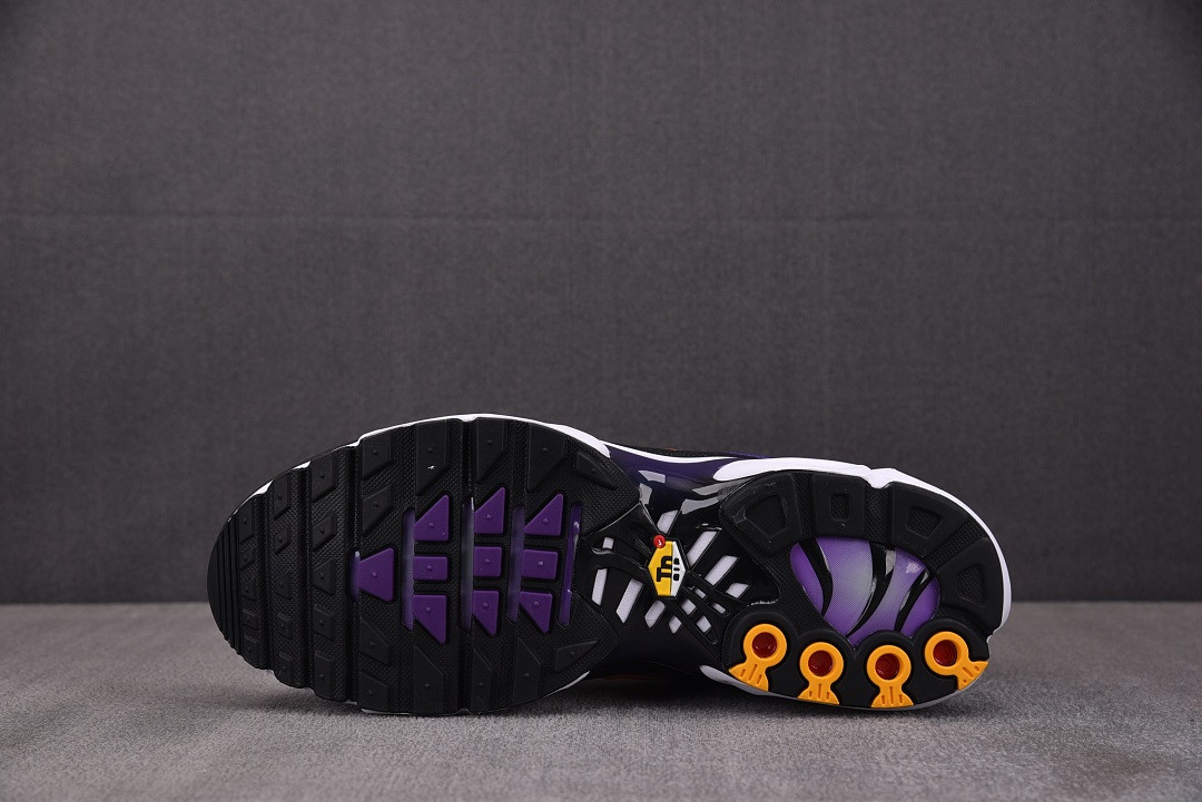 Nike Air Max Plus OG "Voltage Purple" DX0755-500