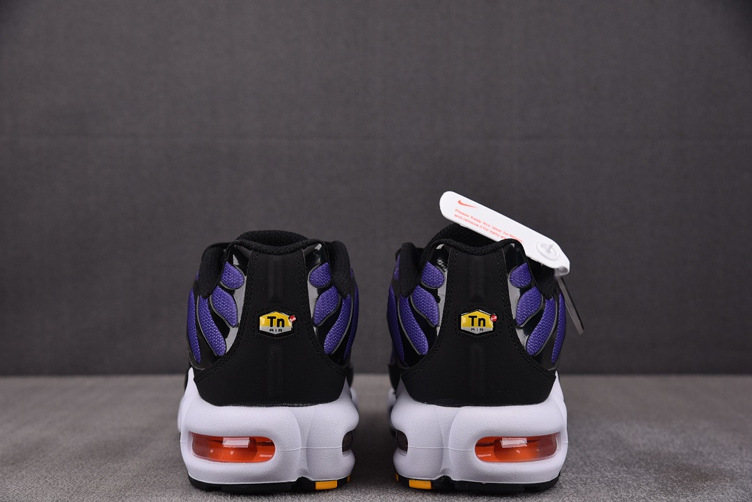 Nike Air Max Plus OG "Voltage Purple" DX0755-500