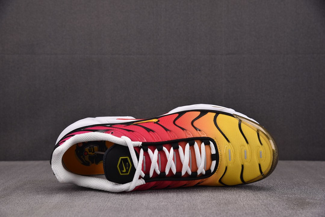 Nike Air Max Plus OG DX0755-600