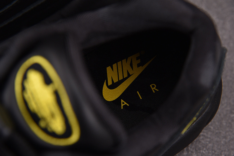 Corteiz x Nike Air Max 95 "Honey Blacks" FB2709-003