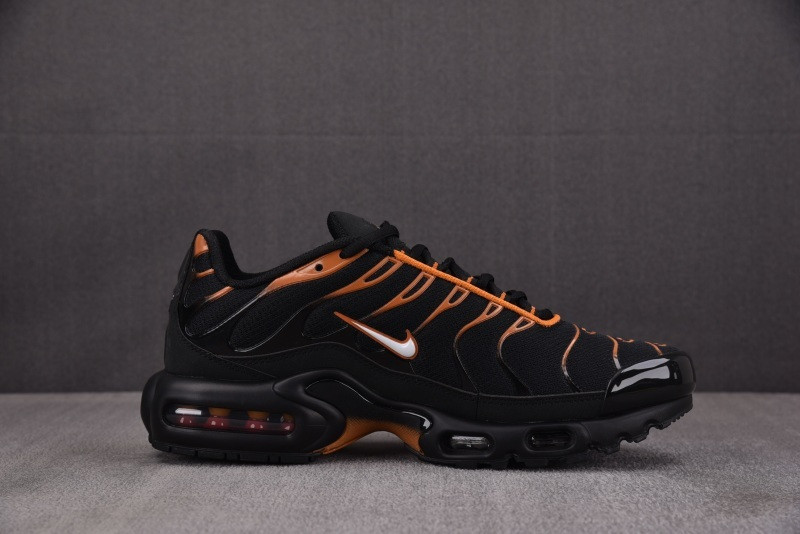 Nike Air Max Plus Dark Obsidian Monarch FN6949-400