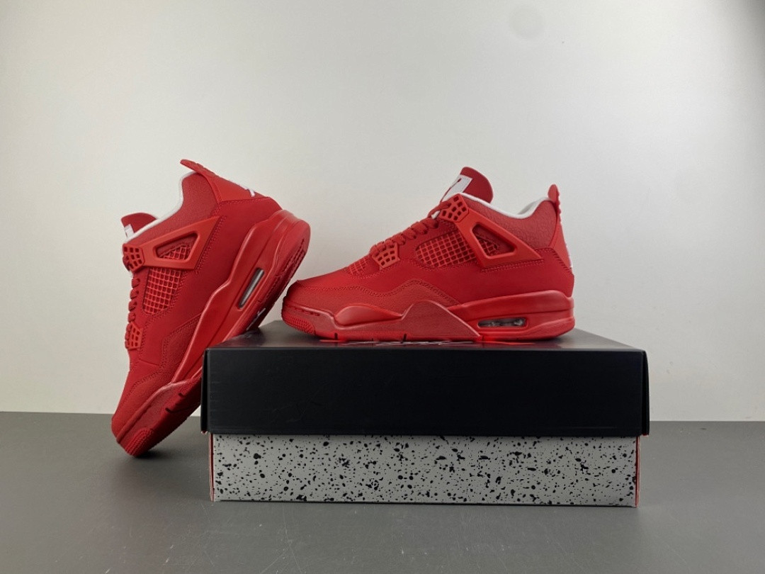 Air Jordan 4 FV5029-600