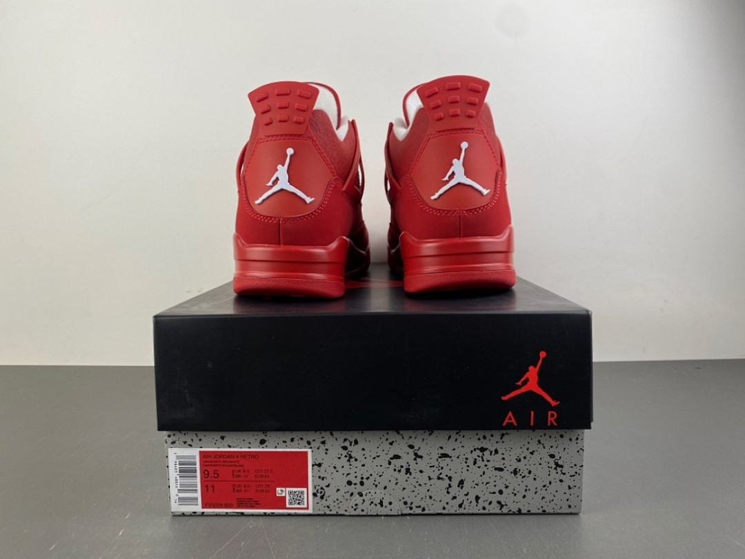 Air Jordan 4 FV5029-600