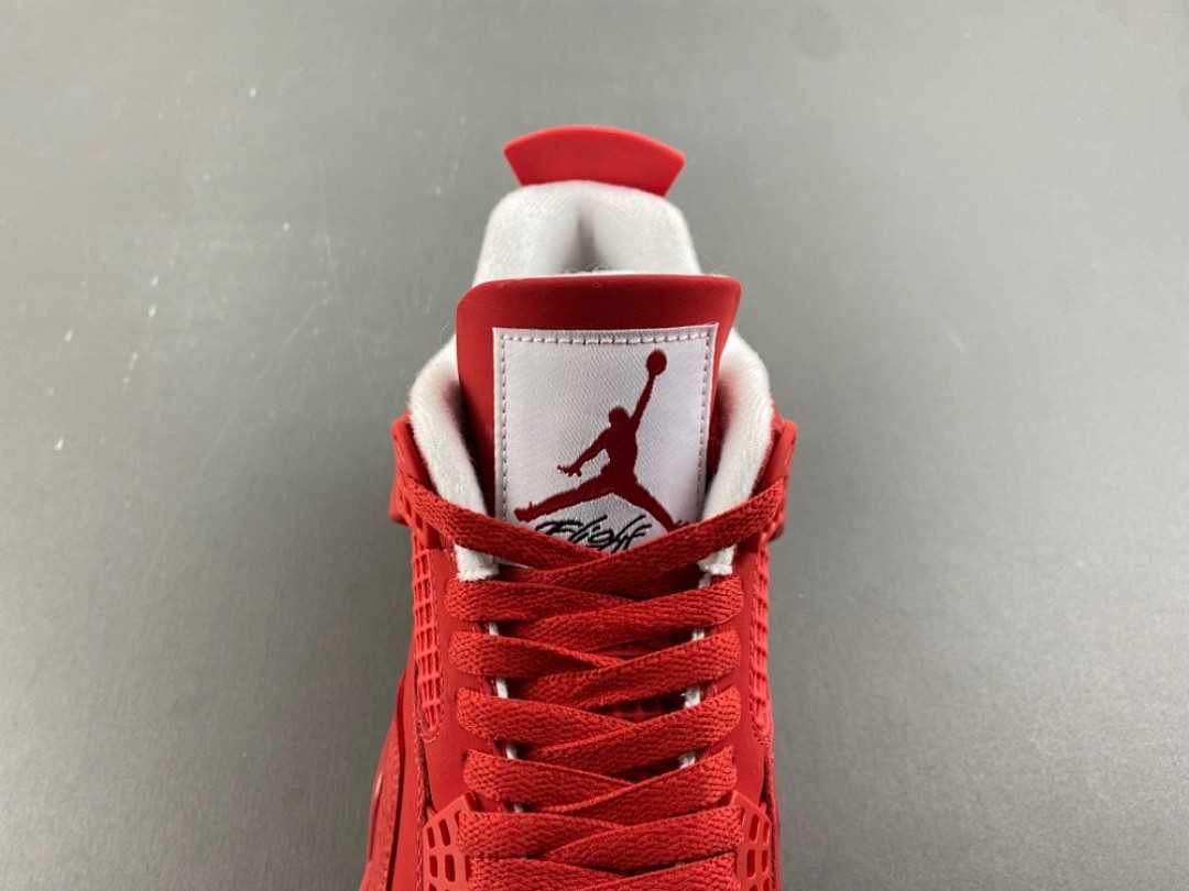 Air Jordan 4 FV5029-600
