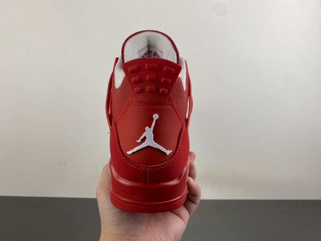 Air Jordan 4 FV5029-600