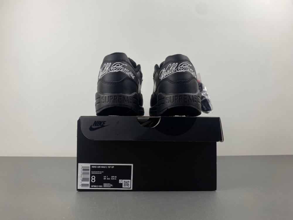 Nike Air Max 1 - Black - HF8813-001