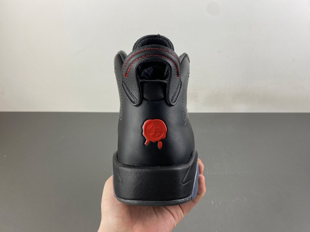 Air Jordan 6 Retro Premio 