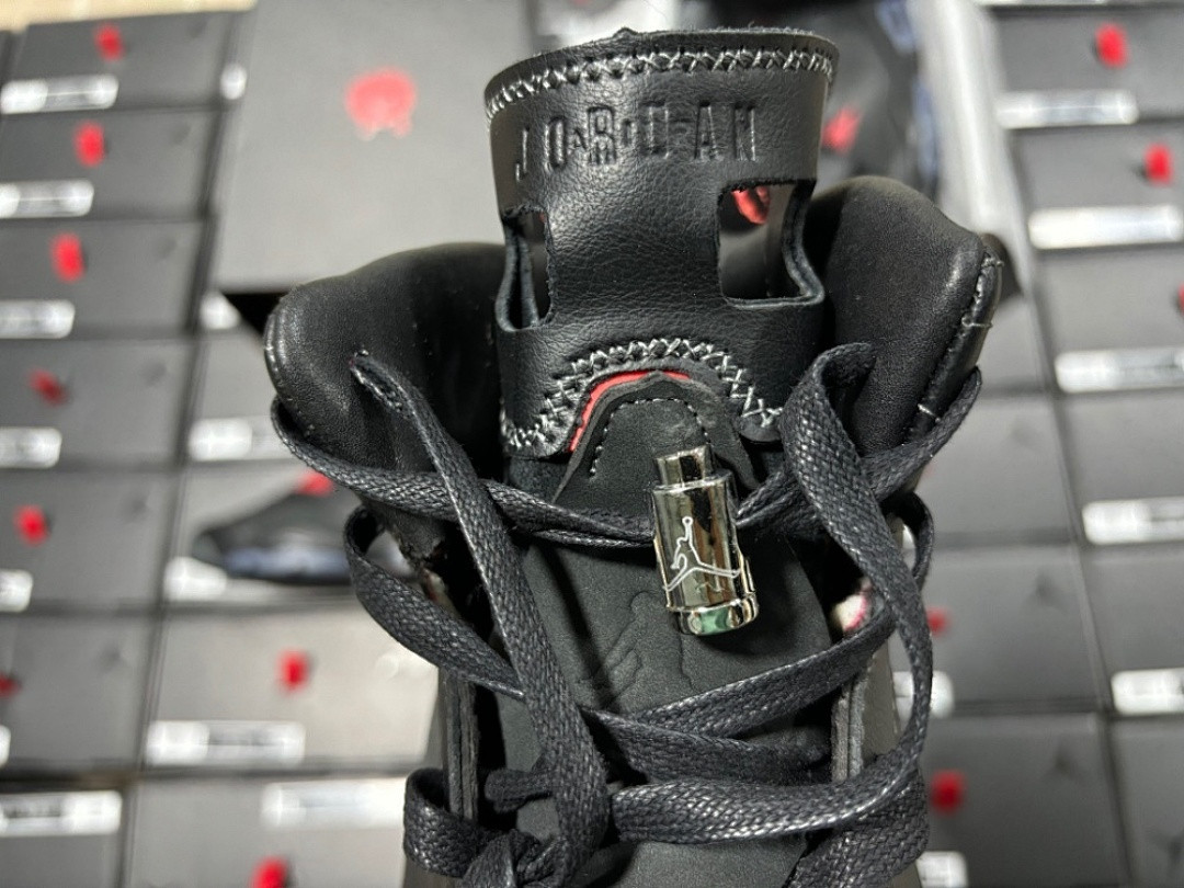 Air Jordan 6 Retro Premio 