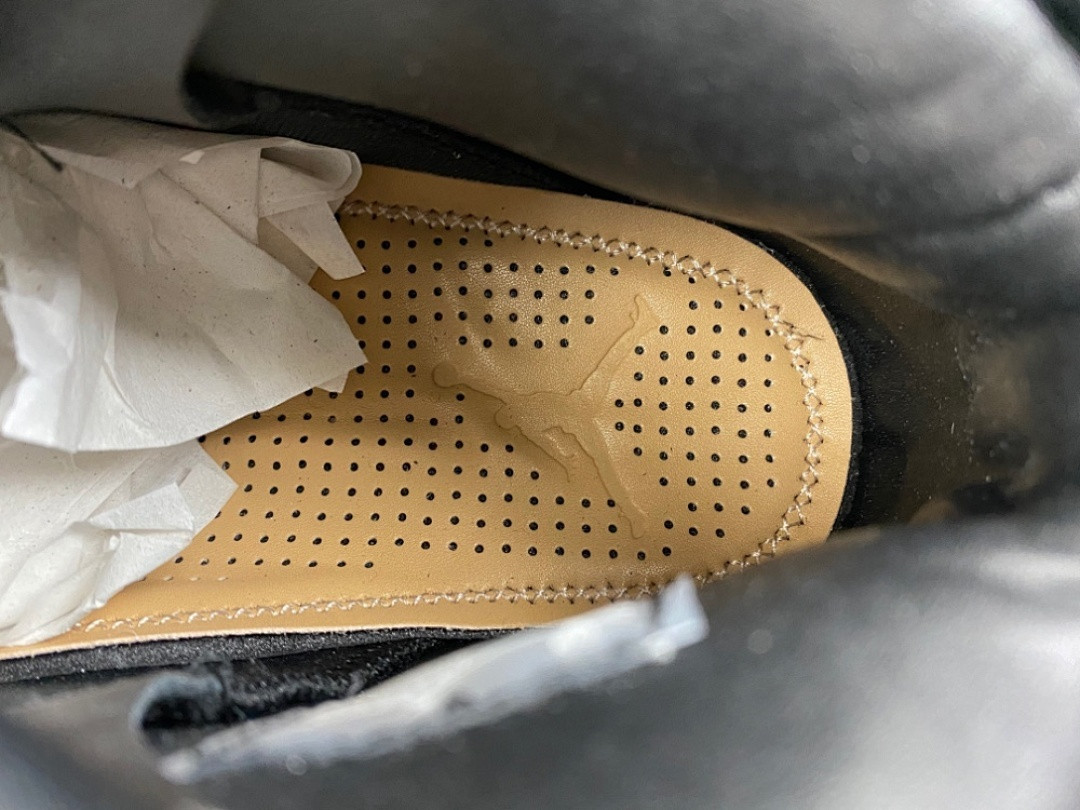 Air Jordan 6 Retro Premio 