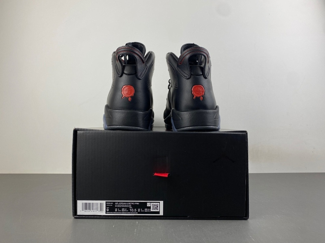Air Jordan 6 Retro Premio 