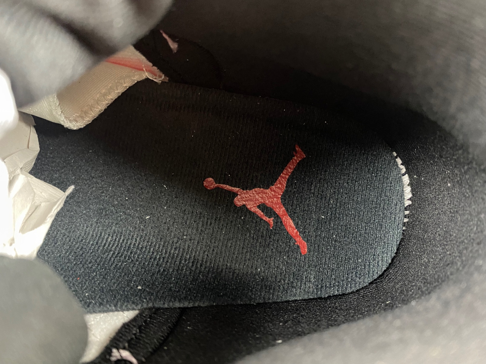 Air Jordan 12 Cherry CT8013-116