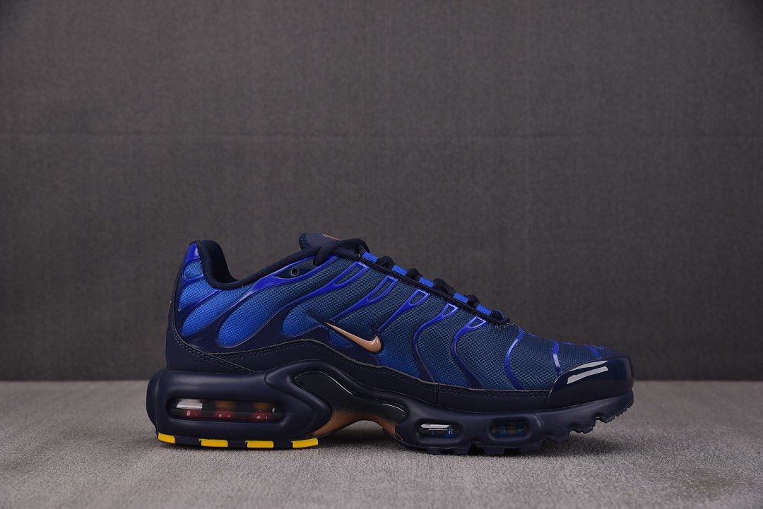 Nike Air Max Plus "French Football Federation" IQ0170-400