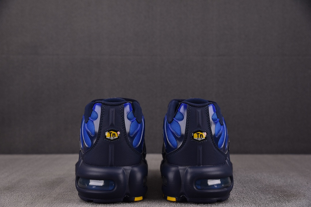 Nike Air Max Plus "French Football Federation" IQ0170-400