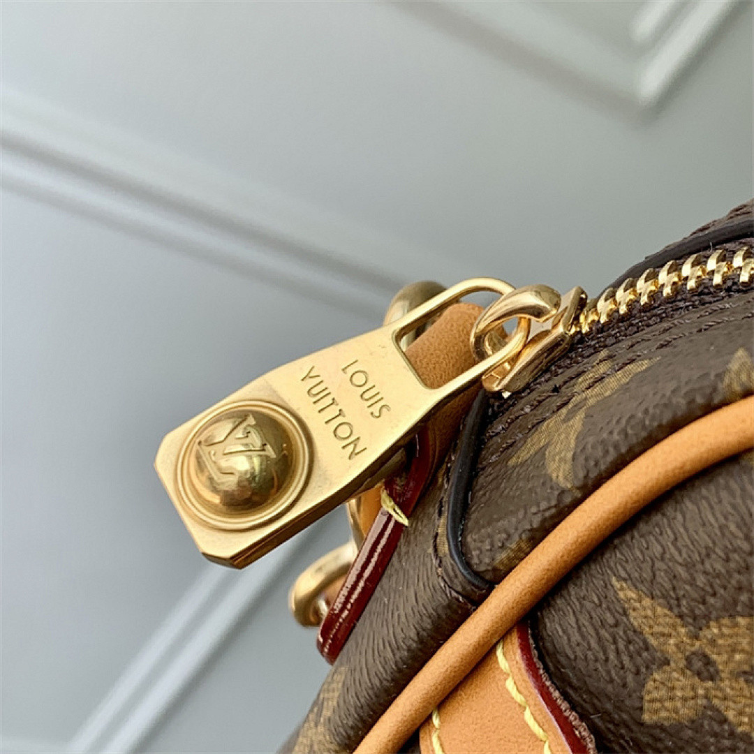 L0vis Vvtt0n Monogram Archive Danube M14013 Handbag