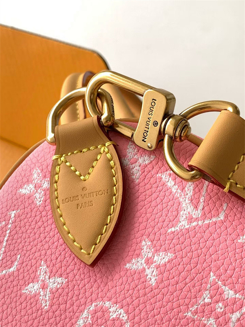 LV Speedy P9 Bandoulière 25 M15279